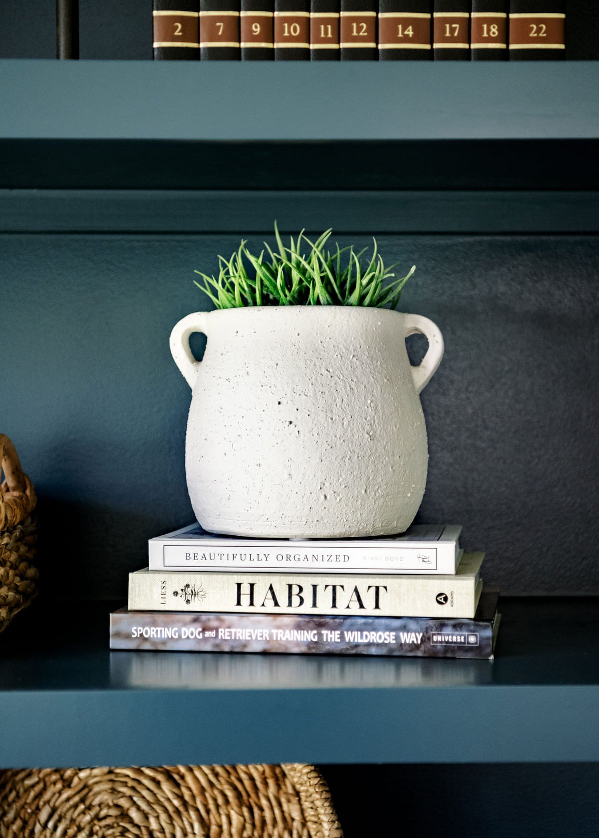 Navy office shelving with a white planter and grasses